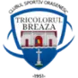 Tricolorul Breaza