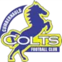 Cumbernauld Colts
