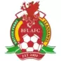 Briton Ferry