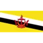 Brunei U17