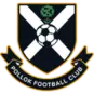 Pollok
