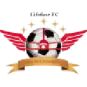 Lifofane