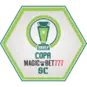 Copa Santa Catarina