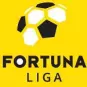1. liga