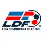 Liga Mayor
