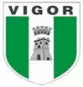 Vigor Lamezia