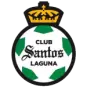 Santos Laguna W