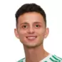 Louis D'Arrigo