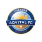 Csakvari