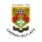 Caerau Ely