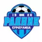 Radnik