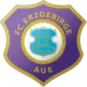 Aue U19