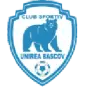 Unirea Bascov