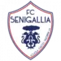 Vigor Senigallia