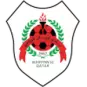 Al Rayyan