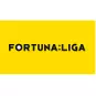 Czech Liga