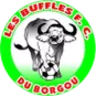 Buffles du Borgou